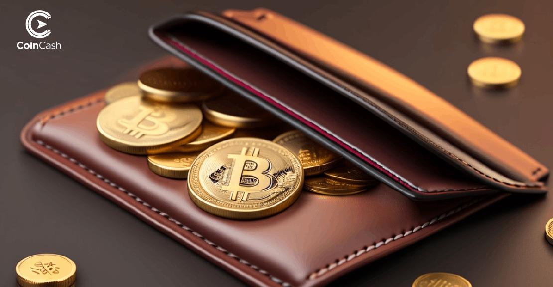Bitcoin logó árfolyamokkal